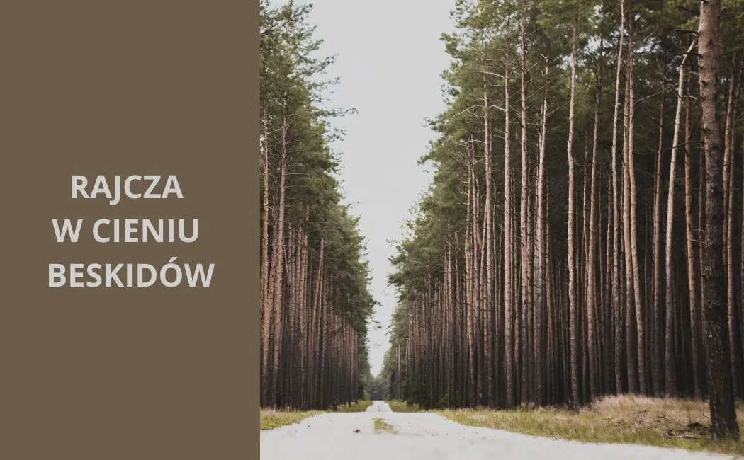 Rajcza – w cieniu Beskidów, w blasku historii i kultury