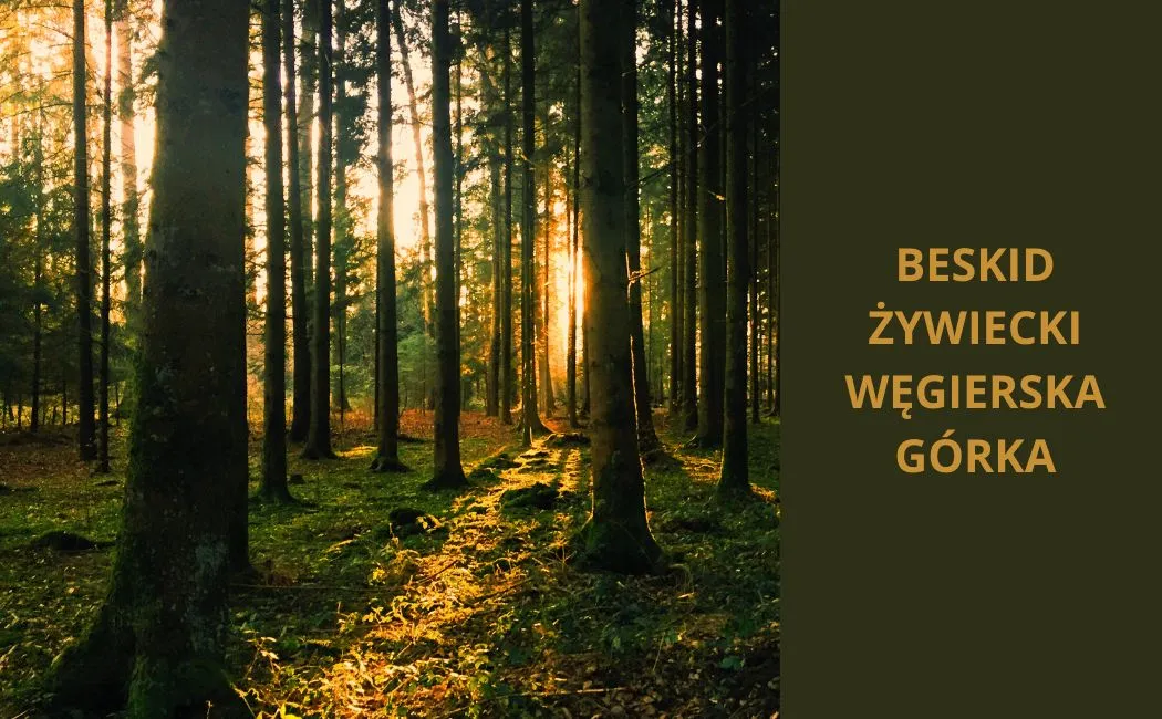 Beskid Żywiecki - Węgierska Górka, w harmonii z naturą