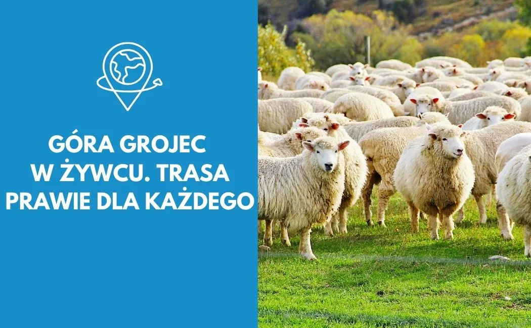 Góra Grojec w Żywcu. Trasa prawie dla każdego