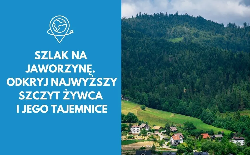 Szlak na Jaworzynę. Odkryj najwyższy szczyt Żywca i jego tajemnice