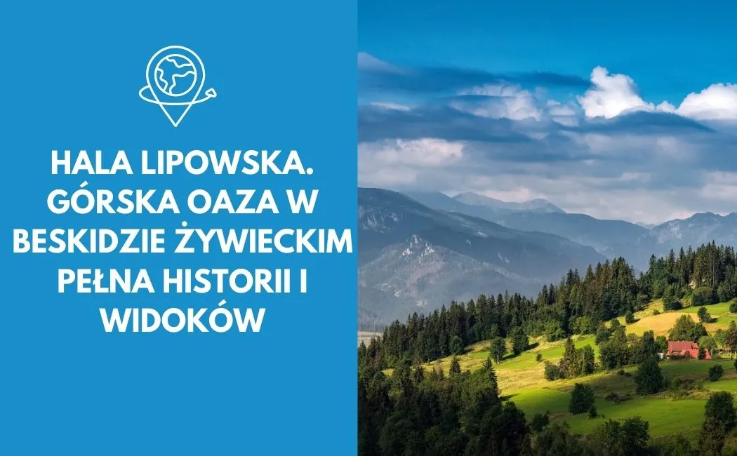 Hala Lipowska. Górska oaza w Beskidzie Żywieckim pełna historii i widoków