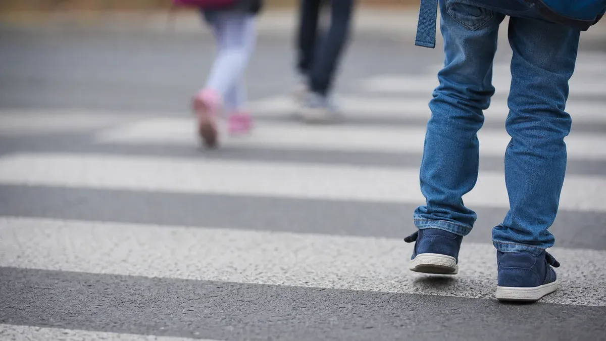 Odblaski i pasy bezpieczeństwa. Policjanci z Żywca uczyli dzieci zasad