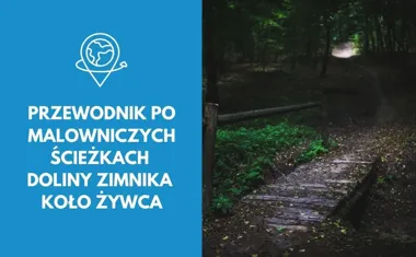 Przewodnik po malowniczych ścieżkach Doliny Zimnika koło Żywca