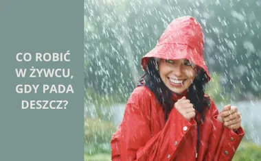 Co robić w Żywcu, gdy pada deszcz? Atrakcje, których nie możesz przegapić