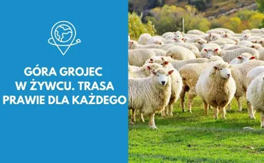 Góra Grojec w Żywcu. Trasa prawie dla każdego