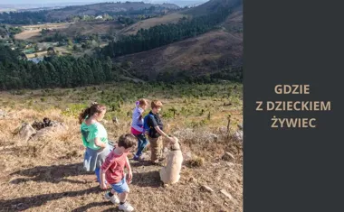 Gdzie z dzieckiem Żywiec? Najlepsze atrakcje dla całych rodzin