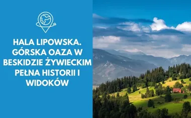 Hala Lipowska. Górska oaza w Beskidzie Żywieckim pełna historii i widoków