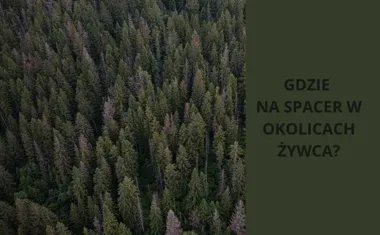 Gdzie na spacer w okolicach Żywca? Najpiękniejsze trasy spacerowe w okolicach Żywca