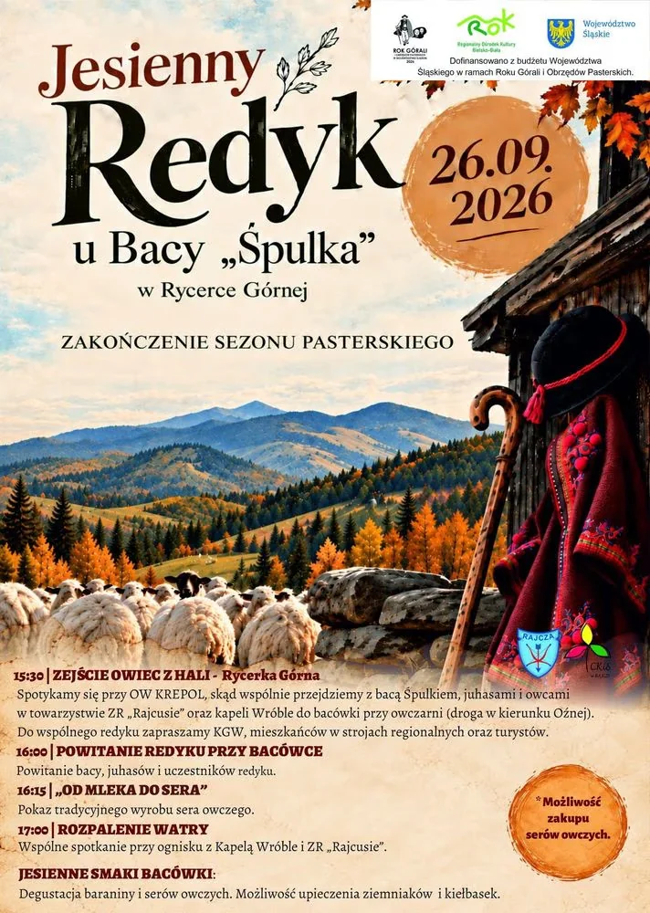 Obraz do artykułu: Jesienny Redyk u Bacy „Śpulka” – zakończenie sezonu pasterskiego w Rycerce Górnej