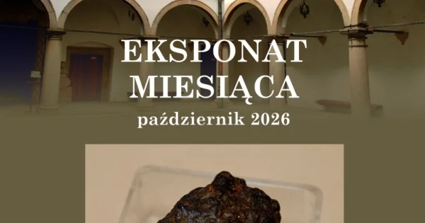 Grafika promocyjna wydarzenia Eksponat października 2026 – planetoida (709844)