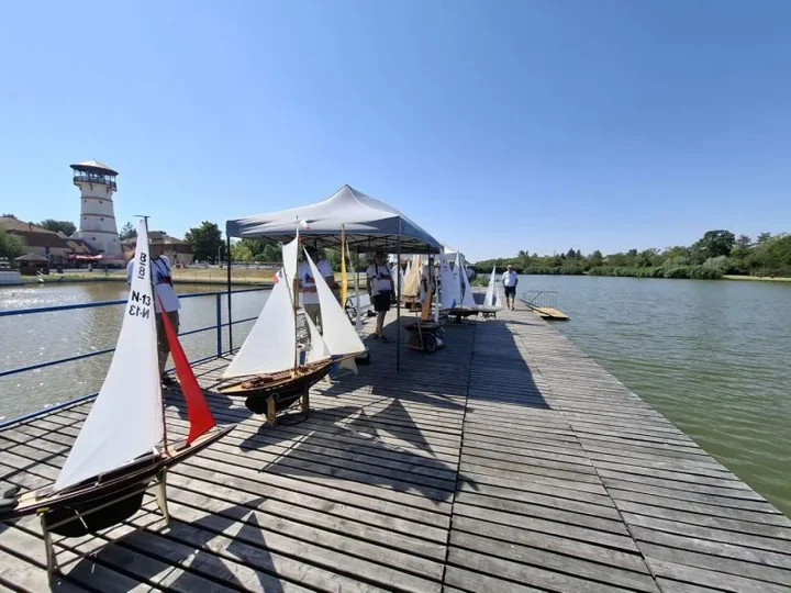 Żywieccy modelarze wracają z mistrzostw świata z trzema złotymi medalami