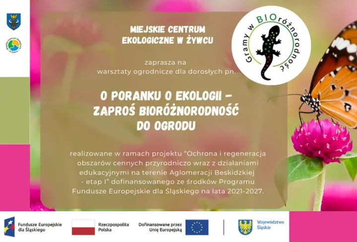 W Żywcu powstanie mechowy obraz. Warsztaty pokażą, jak wspierać bioróżnorodność