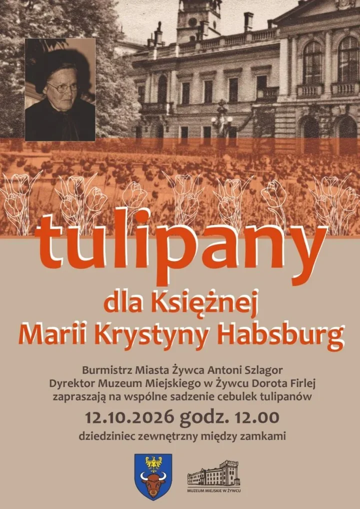 Między żywieckimi zamkami powstaną tulipany dla księżnej Habsburg