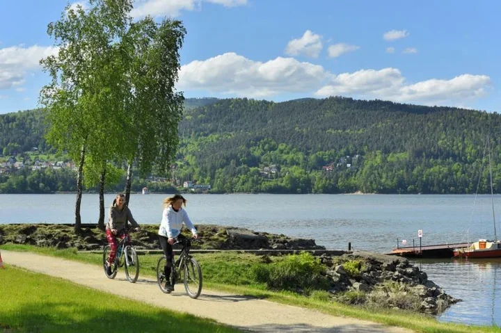 Przy ścieżce pieszo-rowerowej nad Tresną będą wycinać niebezpieczne drzewa