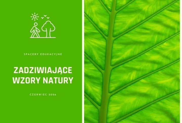 W Parku Zamkowym dzieci odkryją naturę przez zmysły i sztukę