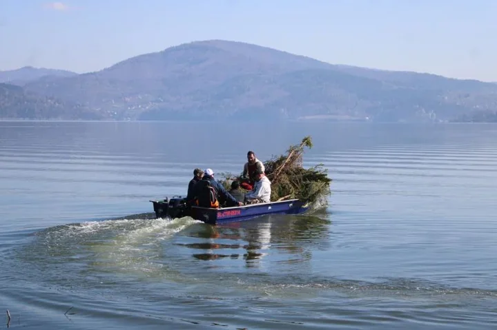 Nad Jeziorem Żywieckim ustawiono tarliska, które mają dać rybom bezpieczny start