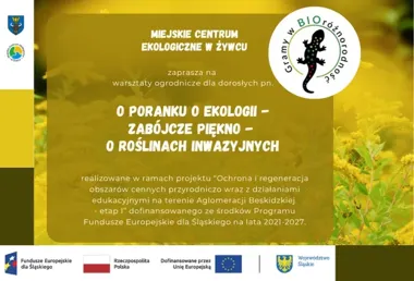 Kwiaty w szkle i lekcja o inwazyjnych gatunkach. Warsztaty w Żywcu