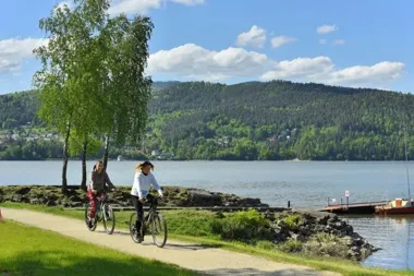 Przy ścieżce pieszo-rowerowej nad Tresną będą wycinać niebezpieczne drzewa