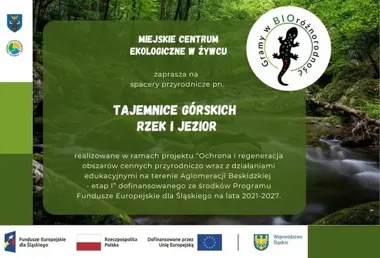 Wakacyjne spacery nad żywieckimi wodami. Dzieci poznają rzeki i jeziora z bliska