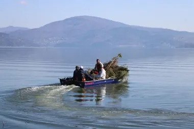 Nad Jeziorem Żywieckim ustawiono tarliska, które mają dać rybom bezpieczny start