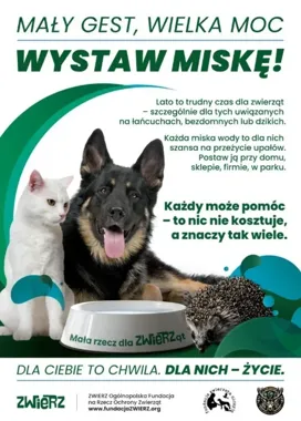 Jedna miska wody może uratować życie zwierzęcia latem