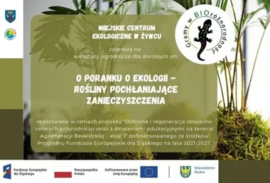 W Żywcu zostały już tylko ostatnie miejsca na warsztaty o roślinach i powietrzu