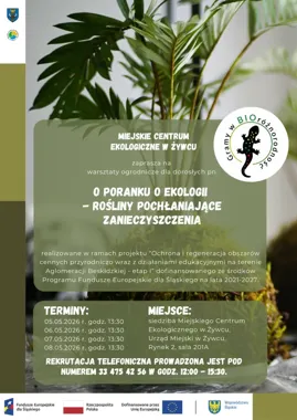 Kokedamy i wiszące ogrody w Żywcu Ruszają zapisy na warsztaty dla dorosłych