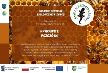 Pszczoły, słoiki i plastikowe butelki. W Żywcu ruszają ekologiczne warsztaty dla dzieci