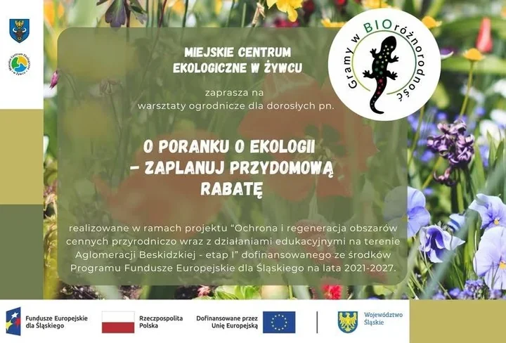 W Żywcu pokażą, jak ogród może stać się rajem dla zapylaczy